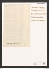 Nitzschia vermicularis (Kuetz.) Hantzsch. (de-Toni-Nr.: Genus 47, Species 2094) Zeichnungen Sammlung Grunow (NHMW-BOT-W0372053)